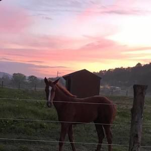 Meet your Posher, Steph